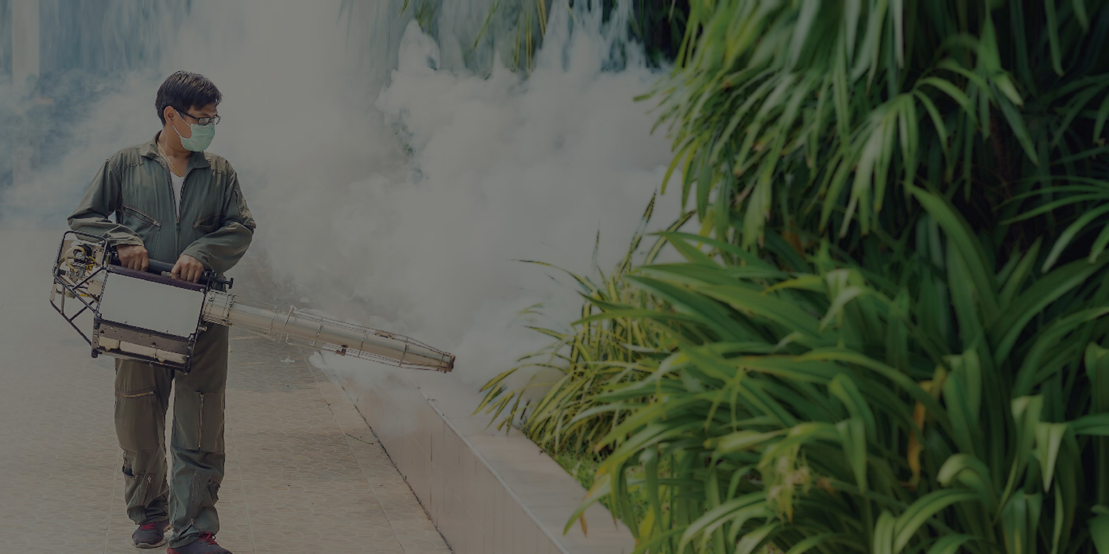 Pest Control Services in Gurgaon
