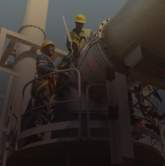 Project Cleaning Services