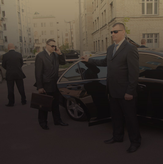 VIP Securities Services