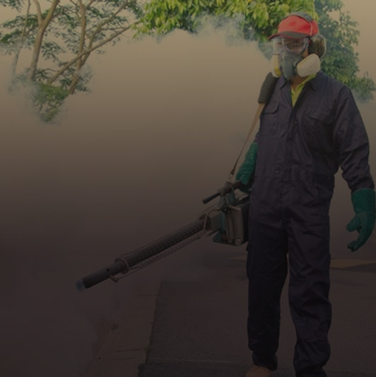 Pest Control Services